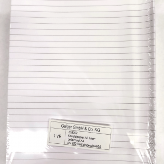 Kanzleipapier liniert 250 Blatt Nr. 100