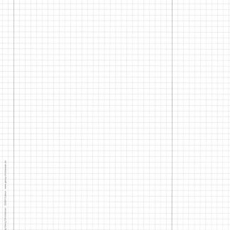 Prüfungspapier mit Logo liniert/kariert Nr. 512 E
