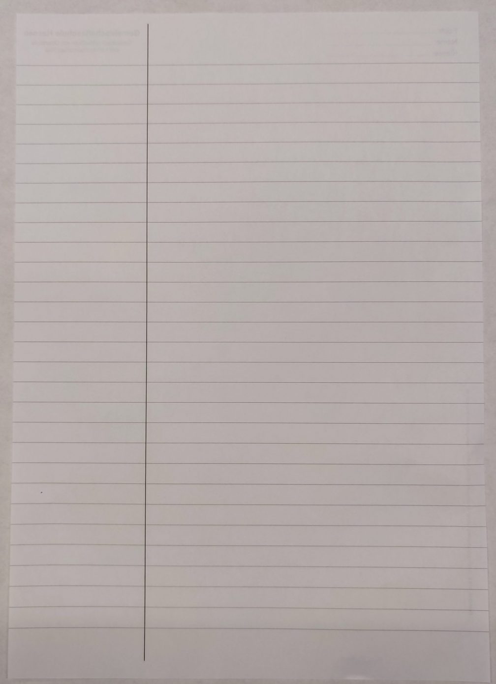 Abiturpapier DIN A4 Nr. 511 E 2seitig – Bild 2